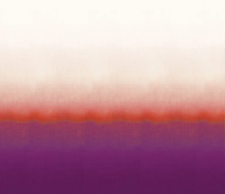 Shady DG2SHA104 — Image 4