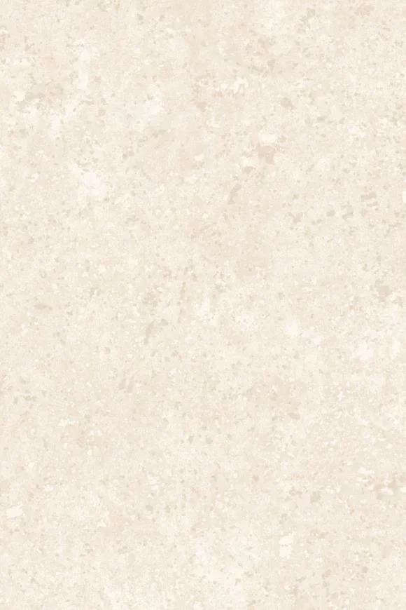 Calcaire Stucco Ivory — Ảnh 2