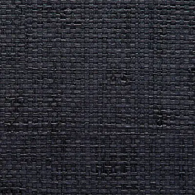 Vinyl Island Raffia