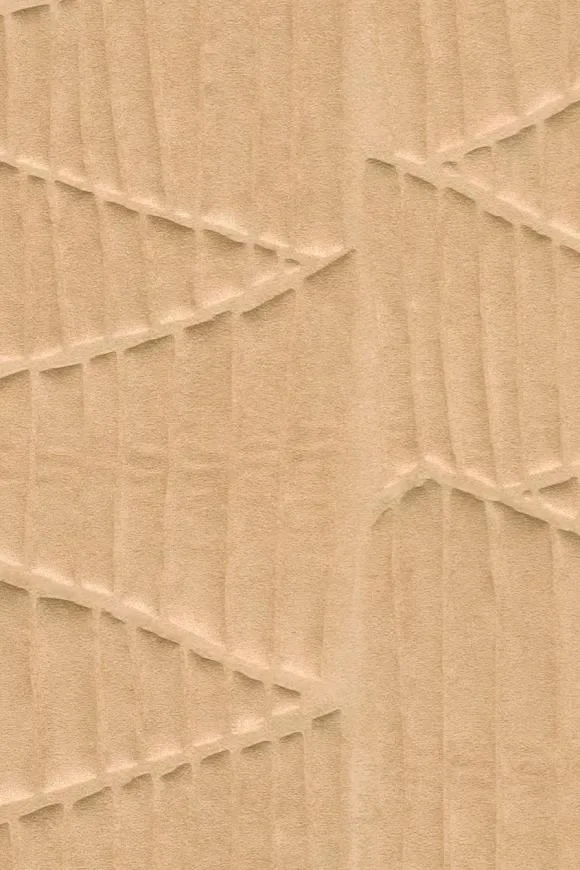 Siwa Biscuit — Image 2