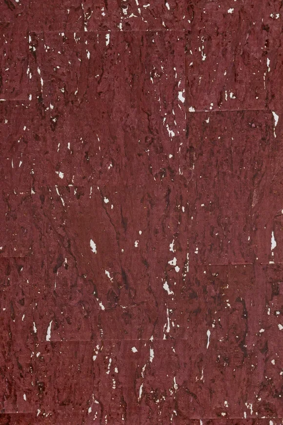 Alentejo Cork Burgundy — Ảnh 2