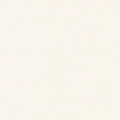 The Basic - White Beige Tone PT.01