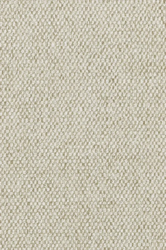 Nelson Papyrus - 91553 — Image 2