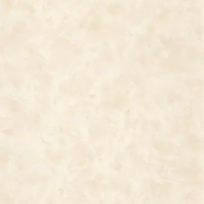 Uni metallise / nacre — BEIGE NACRE