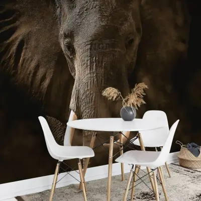 Elephant Ivory - Wall Mural 5083 - 8 Panel - 384cm x 260cm