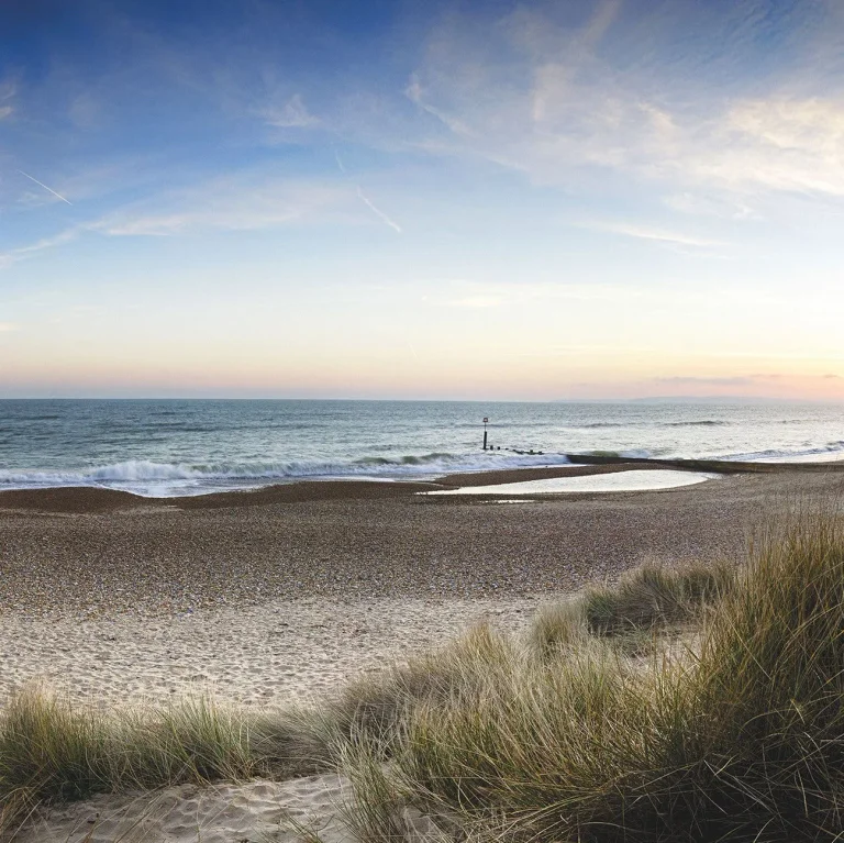 Along the Dune - Wall Mural 5548 - 4 Panel - 192cm x 260cm — Ảnh 4