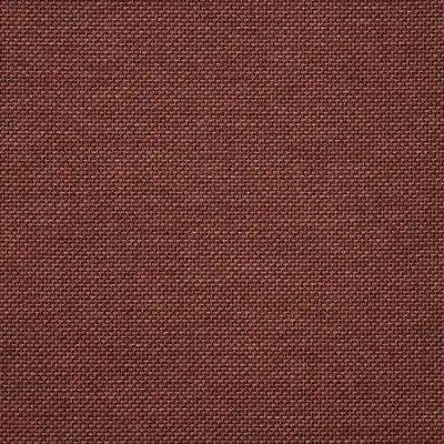ESSENTIAL RUSSET
