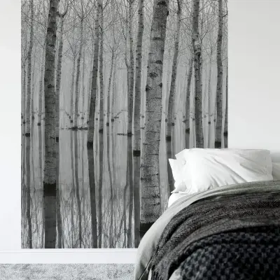 Birch Forest In The Water - Wall Mural 5122 - 4 Panel - 192cm x 260cm