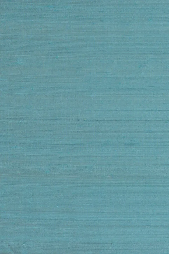 Papillon Turquoise — Image 2