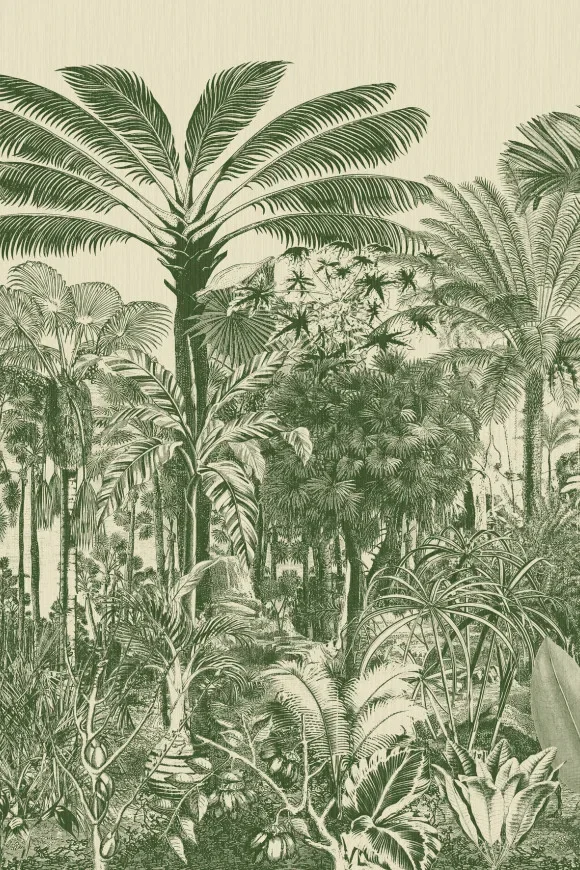 Valle De Viñales Palmier — Image 3