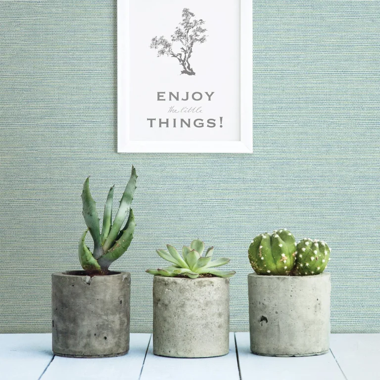 Agave Wallpaper - Mint — Ảnh 2