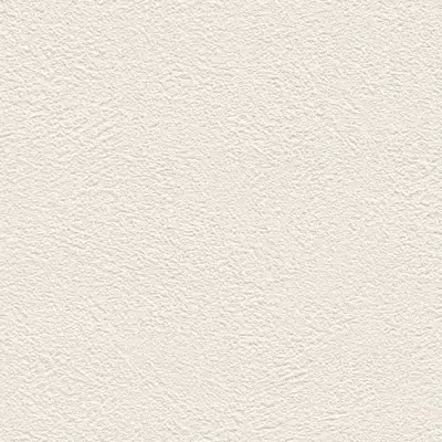 The Basic - White Beige Tone PT.01