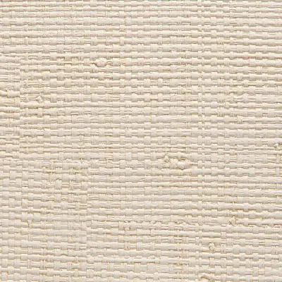 Vinyl Island Raffia