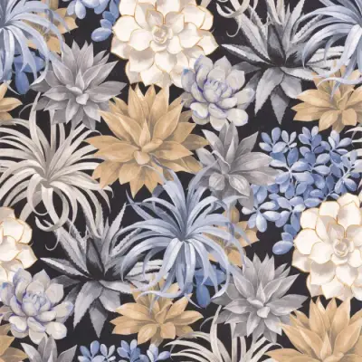 Botanica Echeveria