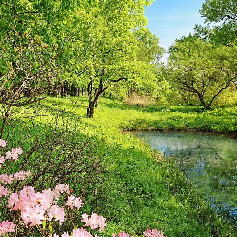 Park in the Spring - Wall Mural 5408 - 4 Panel - 192cm x 260cm — Ảnh 3