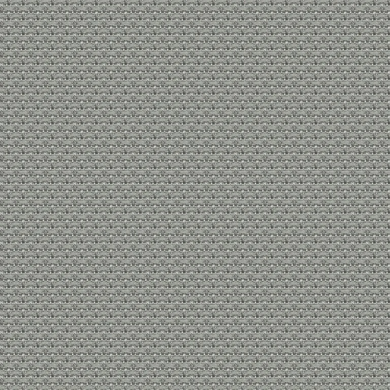MILD PIGEON