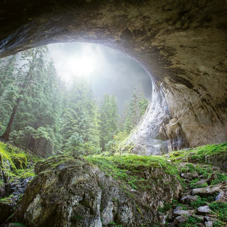 Cave In The Forest - Wall Mural 5078 - 8 Panel - 384cm x 260cm — Ảnh 2