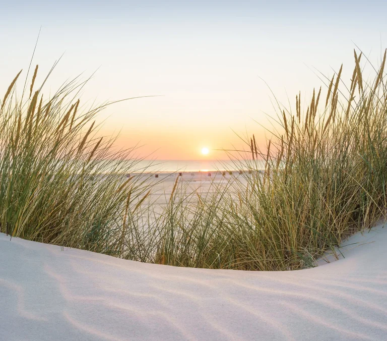 Scenic Walls - Sunset Dunes Mural - 3057-1 — Image 2