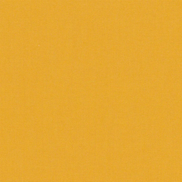 CANVAS MIMOSA