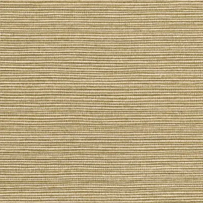Vinyl Sisal