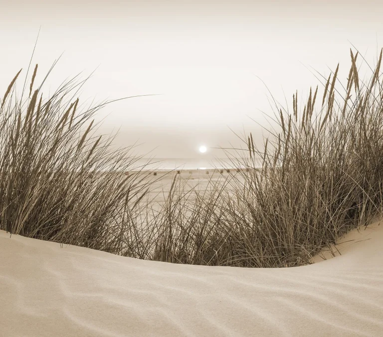 Scenic Walls - Sunset Dunes Mural - 3057-2 — Ảnh 2