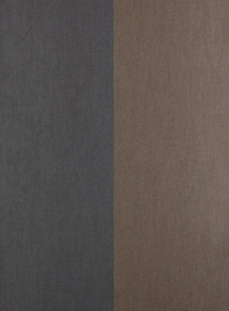 Grande Stripe Tartuffo et Noire de Lune — Ảnh 3