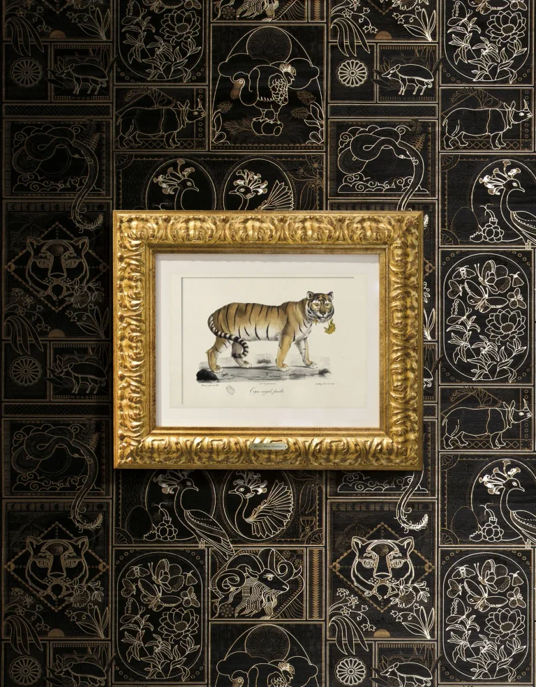 Golden Tiger Ebony — Ảnh 6