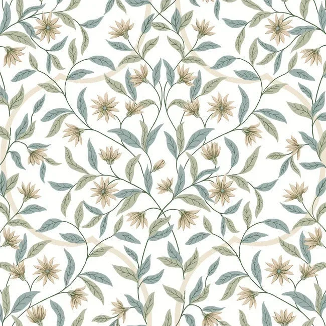 Jasmine Wallpaper - Eucalyptus — Ảnh 5