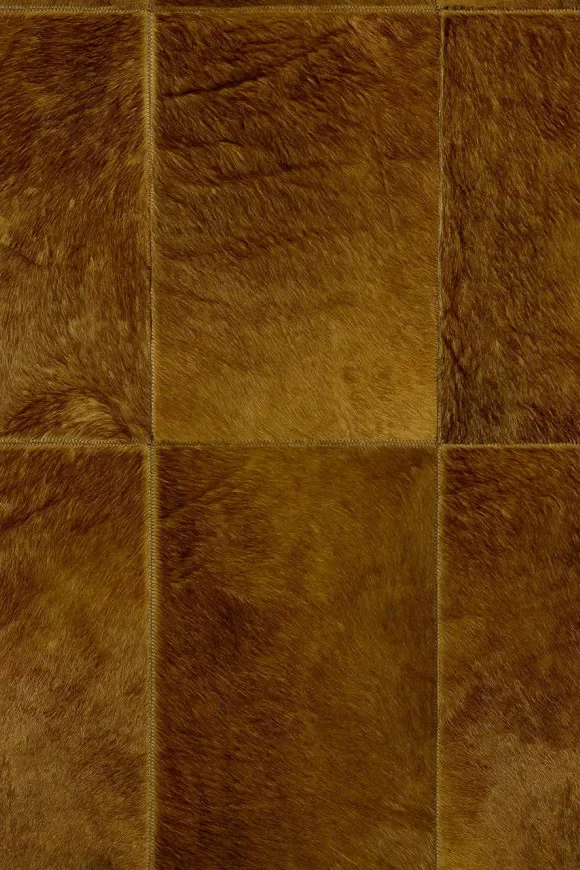 Rectangle Savanna — Image 2