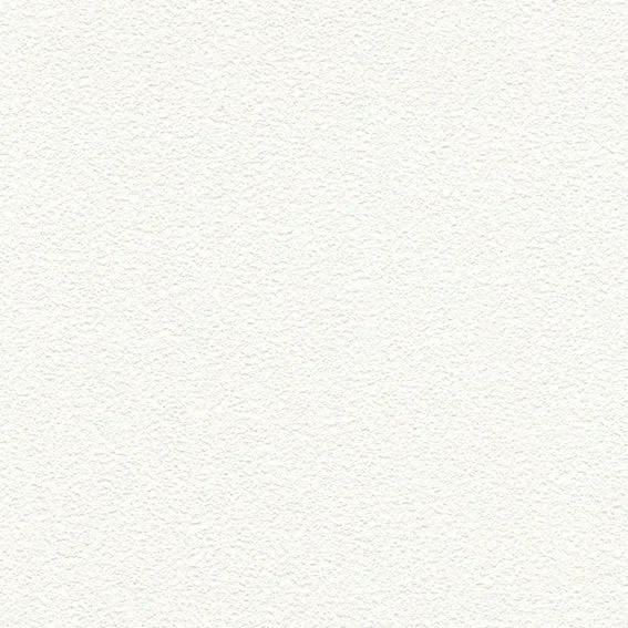 The Basic - White Beige Tone PT.02