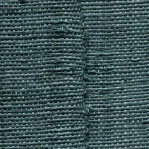 Farini Teal — Ảnh 2