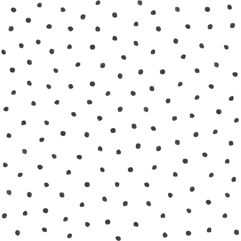 Chesapeake Pixie Dots Wallpaper - Black — Ảnh 3