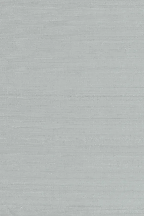 Papillon Pale Blue — Ảnh 2