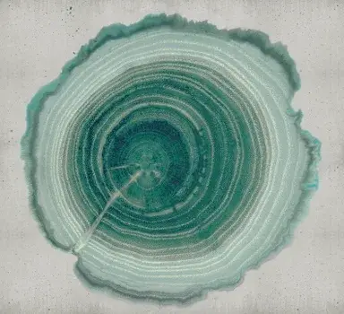 Tree of Life WDEE2101