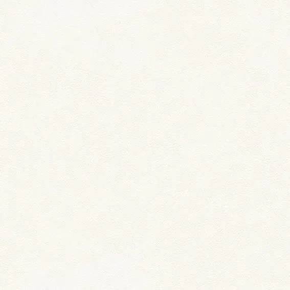 The Basic - White Beige Tone PT.01