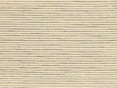 Stripe Sequin Weaving 20020708