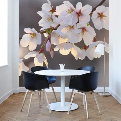 Cherry Blossoms - Wall Mural 5494 - Round - 144cm diameter