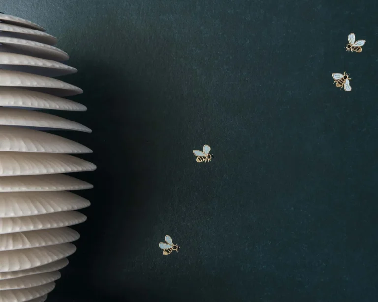 Blueberry - The Bees — Ảnh 2