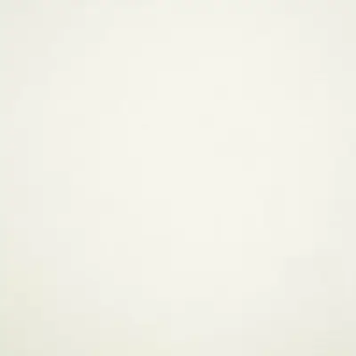 CANVAS WHITE
