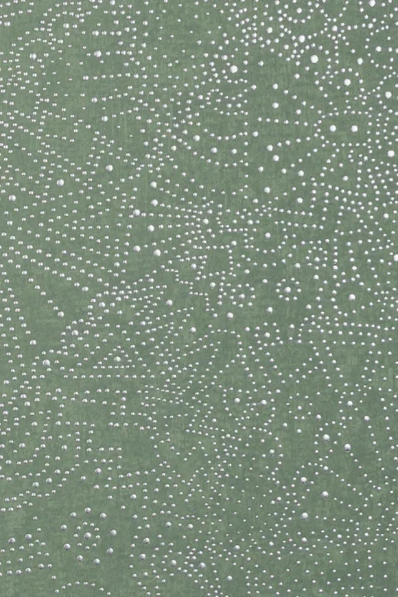 Gobi Sage Green — Ảnh 2