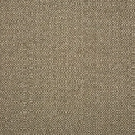 ACTION TAUPE