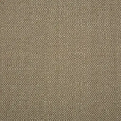 ACTION TAUPE
