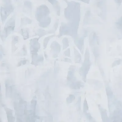 Tag 9181