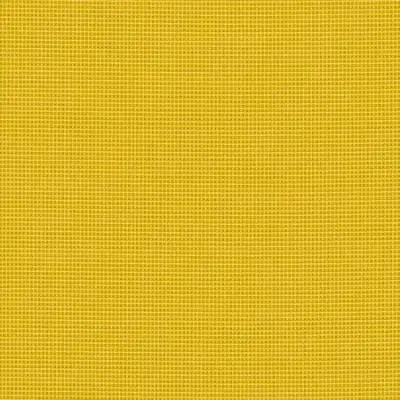 BENGALI YELLOW