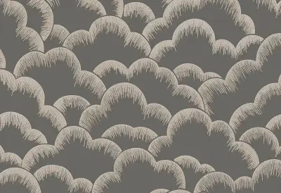 Cumulus