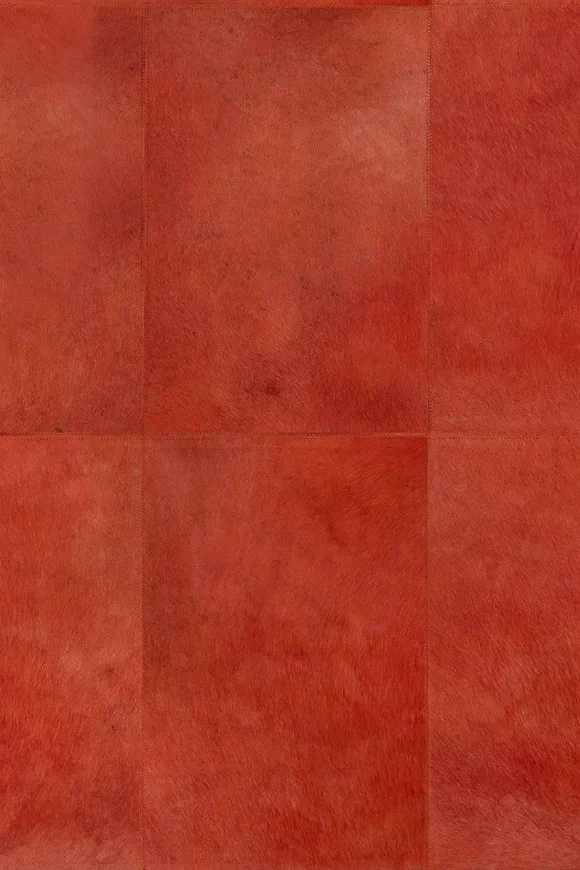 Rectangle Coral — Ảnh 2