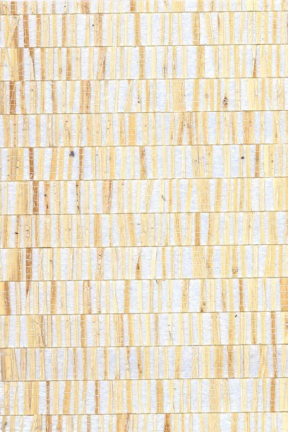Fringe Oyster — Ảnh 2