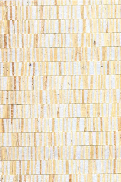 Fringe — Oyster