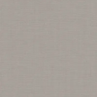 CANVAS SHINGLES