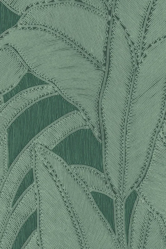 Botanic Pine — Image 3